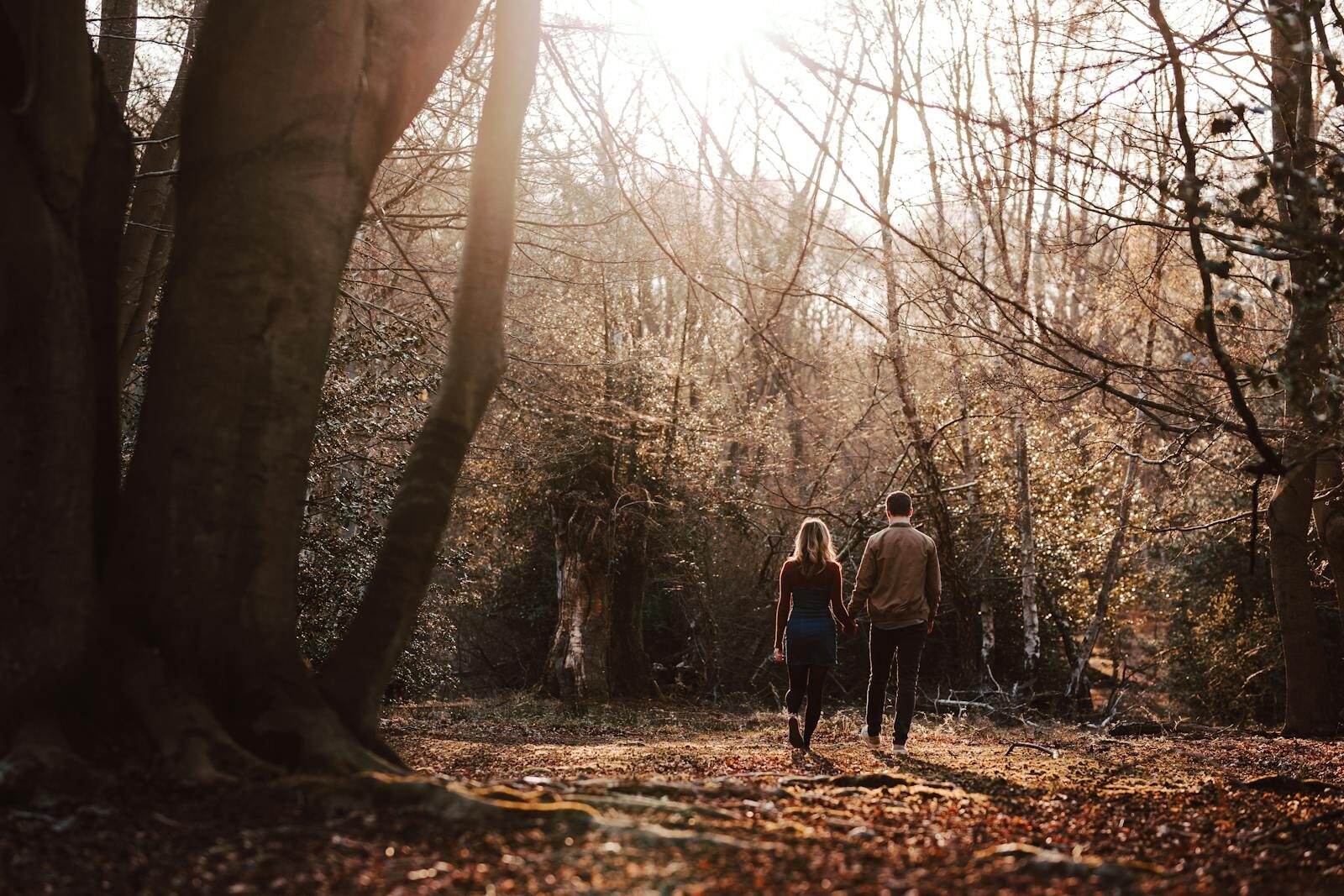 Moorland Adventures: Explore the ancient tors and wild landscapes of nearby Dartmoor National Park.